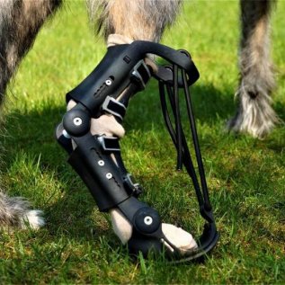 Irský vlkodav má na pravé zadní noze 3D vytištěnou ortézu