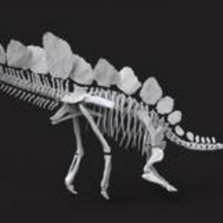 3D model Velociraptora pro následný 3D tisk na tiskárně Voxeljet.